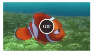 Test GIF.