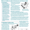A Safe Ride News product, the 2023 Fact Sheets in pre-printed pads.