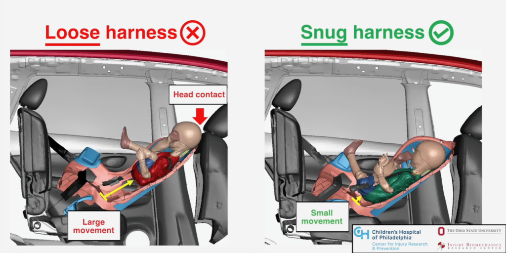 This is a sample image of the Buckle Up with Brutus CR misuse videos.